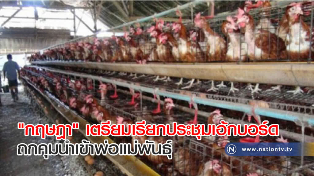 "กฤษฎา" เตรียมเรียกประชุมเอ้กบอร์ดถกคุมนำเข้าพ่อแม่พันธุ์ "กฤษฎา" เตรียมเรียกประชุมเอ้กบอร์ดถกคุมนำเข้าพ่อแม่พันธุ์