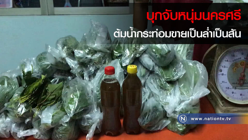 บุกจับหนุ่มนครศรี ต้มน้ำกระท่อมขายเป็นล่ำเป็นสัน บุกจับหนุ่มนครศรี ต้มน้ำกระท่อมขายเป็นล่ำเป็นสัน