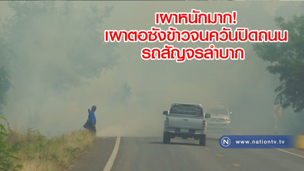 เผาหนักมาก!
ตอซังข้าวจนควันปิดถนน
รถสัญจรลำบาก