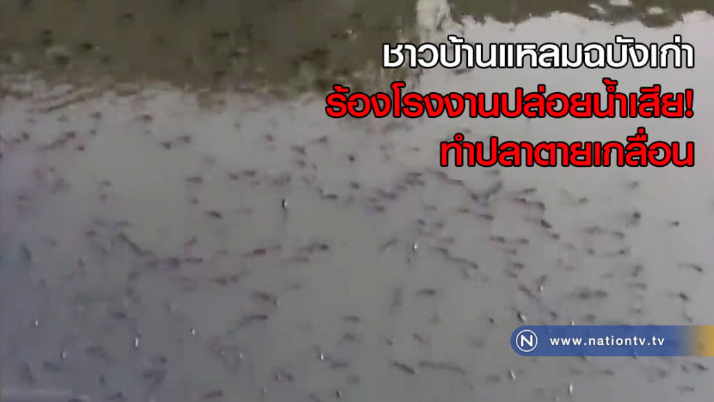 ชาวบ้านแหลมฉบังเก่าร้องโรงงานปล่อยน้ำเสีย! ทำปลาตายเกลื่อน