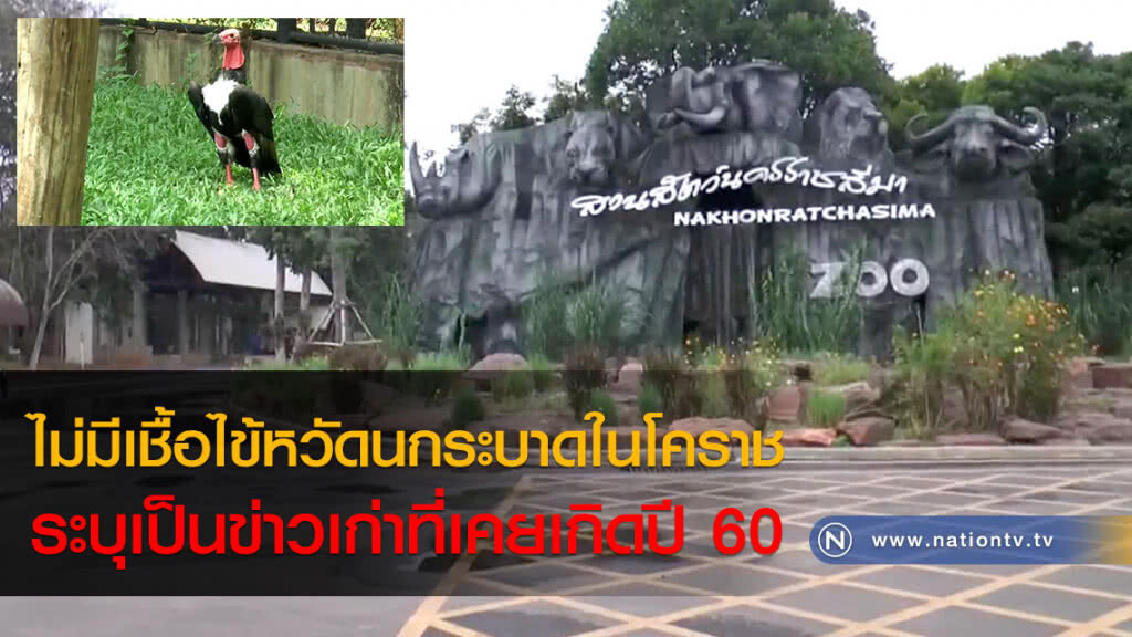สคร.9 ยืนยันไม่มีเชื้อไข้หวัดนกระบาดในโคราช ระบุเป็นข่าวเก่าที่เคยเกิดปี 60