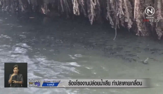 ชาวบ้านแหลมฉบังเก่าร้องโรงงานปล่อยน้ำเสีย! ทำปลาตายเกลื่อน
