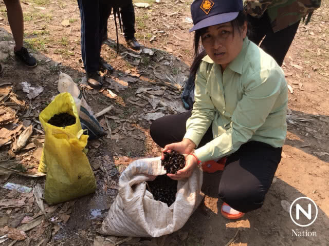 รองผู้ว่าฯแม่ฮ่องสอนแจงคำสั่งปิดป่า - ค่าหมอกควันเกิน 3 วันติด