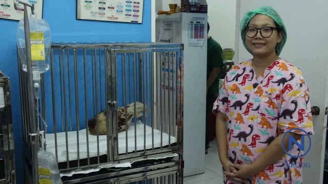 ไก่ชนโกงความตาย หัวขาดแต่ยังมีชีวิต