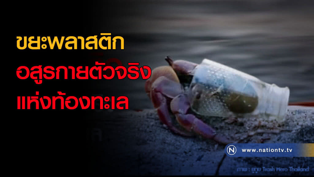 ขยะพลาสติก อสูรกายตัวจริงแห่งท้องทะเล ขยะพลาสติก อสูรกายตัวจริงแห่งท้องทะเล