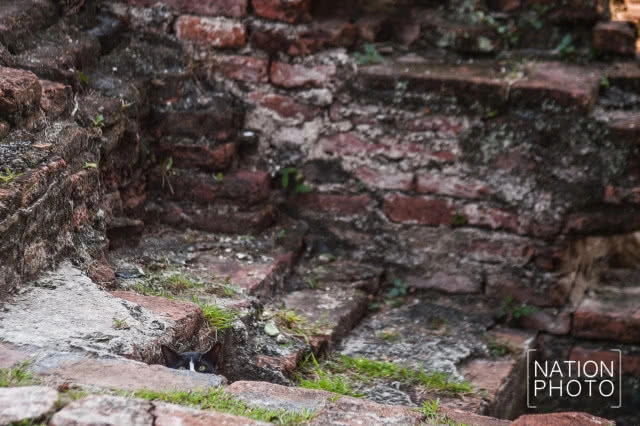 "บ้านวิชาเยนทร์" ตามรอยประวัติศาสตร์จากบุพเพสันนิวาส