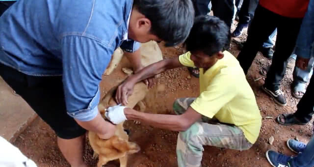 พบเชื้อพิษสุนัขบ้าเพิ่มอีก! 2 ตำบล โคราชประกาศเขตระบาดเป็น 11 อำเภอแล้ว