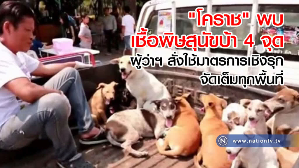 "โคราช" พบเชื้อพิษสุนัขบ้า 4 จุด  
ผู้ว่าฯ สั่งใช้มาตรการเชิงรุก 
จัดเต็มทุกพื้นที่