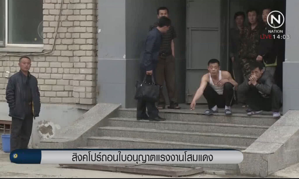 สิงคโปร์ถอนใบอนุญาต แรงงานโสมแดง สิงคโปร์ถอนใบอนุญาต แรงงานโสมแดง