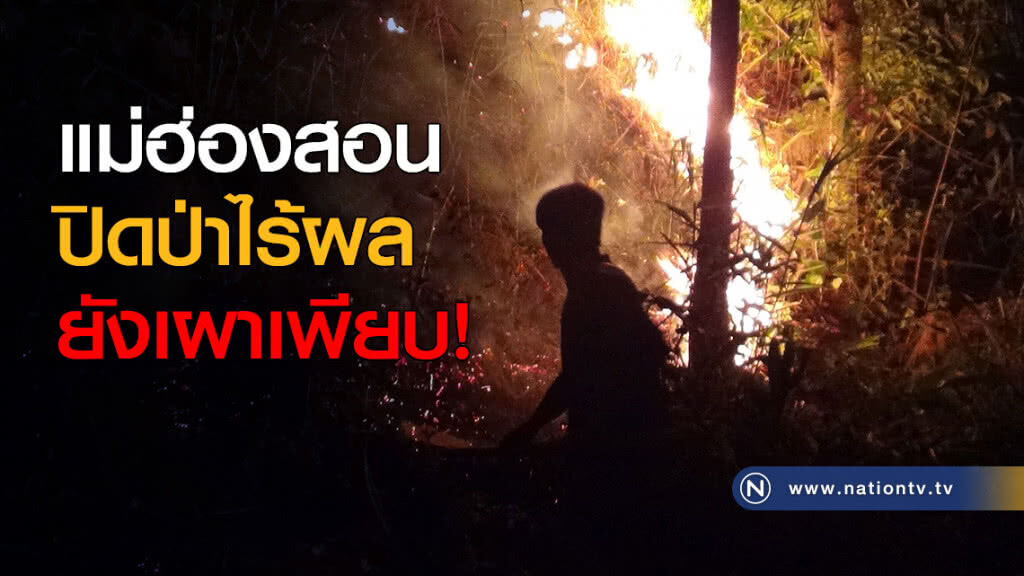 แม่ฮ่องสอน ปิดป่าไร้ผล ยังเผาเพียบ!