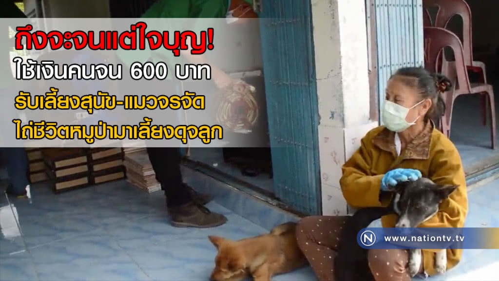 ถึงจะจนแต่ใจบุญ! ใช้เงินคนจน 600 บาท รับเลี้ยงสุนัข-แมวจรจัด ไถ่ชีวิตหมูป่ามาเลี้ยงดุจลูก(คลิป)