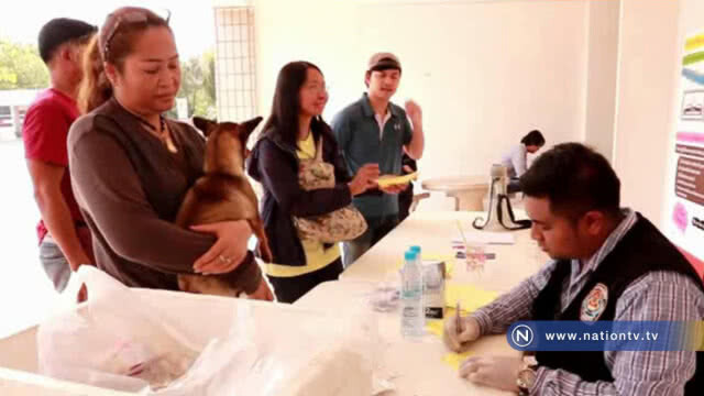 พบเชื้อพิษสุนัขบ้า 4 จุด เมืองย่าโม