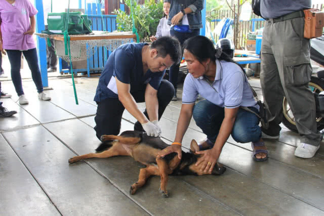 ประธานช่วยเหลือเหยื่ออาชญากรรม ลงพื้นที่ปากน้ำตรวจสอบการแก้ไขปัญหาโรคพิษสุนัขบ้า