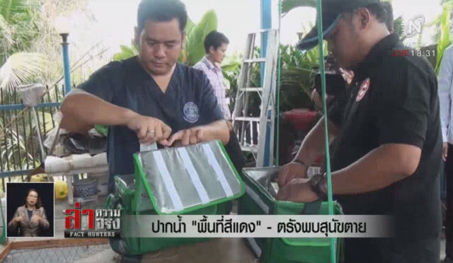ปากน้ำ "พื้นที่สีแดง" - ตรังพบสุนัขตาย