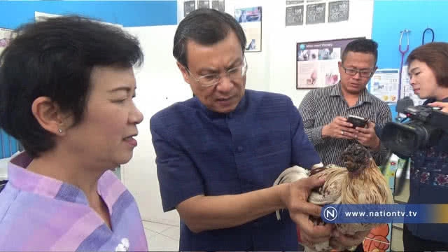 ปิดตำนานไก่หัวขาด "เจ้าบุญมา" ตายแล้ว