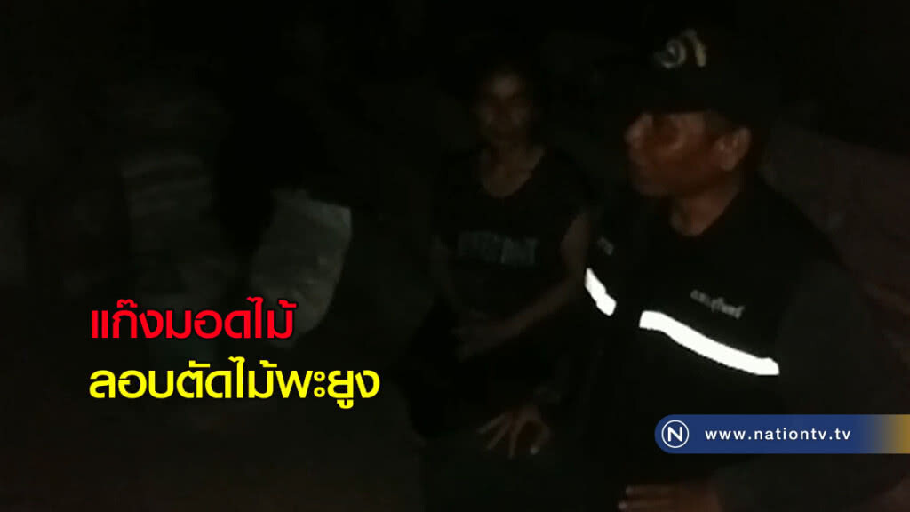 แก๊งมอดไม้ลอบตัดไม้พะยูง