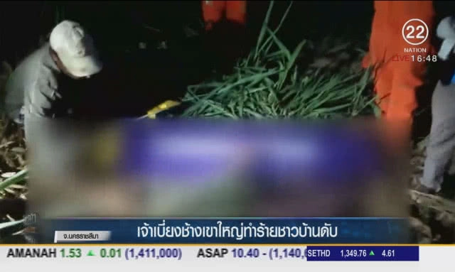 เจ้าเบี่ยงช้างเขาใหญ่ ทำร้ายชาวบ้านดับ