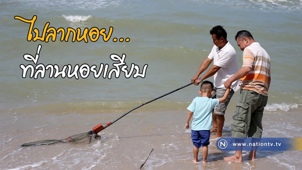 ไปลากหอย...ที่ลานหอยเสียบ