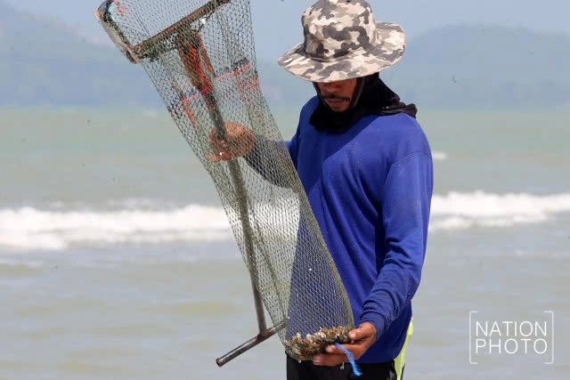 ไปลากหอย...ที่ลานหอยเสียบ