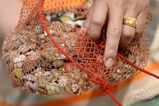 ไปลากหอย...ที่ลานหอยเสียบ