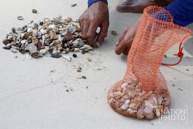 ไปลากหอย...ที่ลานหอยเสียบ