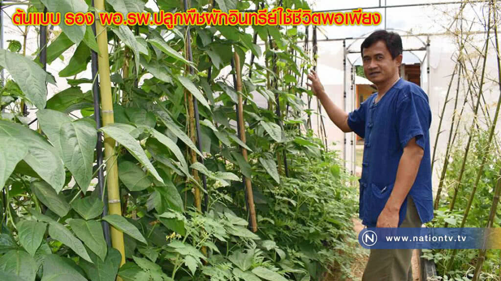 ต้นแบบ รอง ผอ.รพ.ปลูกพืชผักอินทรีย์ใช้ชีวิตพอเพียง