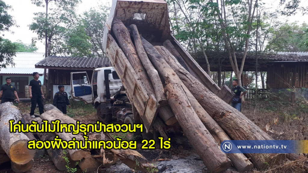 โค่นต้นไม้ใหญ่รุกป่าสงวนฯสองฝั่งลำน้ำแควน้อย 22 ไร่