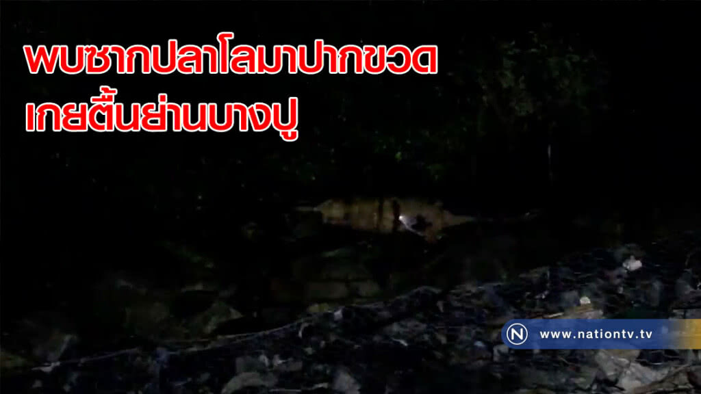พบซากปลาโลมาปากขวด เกยตื้นย่านบางปู