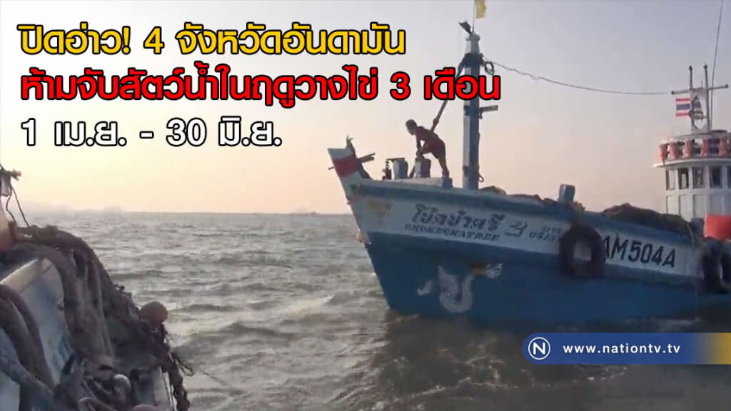 ปิดอ่าว! 4 จังหวัดอันดามัน ห้ามจับสัตว์น้ำในฤดูวางไข่ 3 เดือน 1 เม.ย. - 30 มิ.ย. ปิดอ่าว! 4 จังหวัดอันดามัน ห้ามจับสัตว์น้ำในฤดูวางไข่ 3 เดือน 1 เม.ย. - 30 มิ.ย.