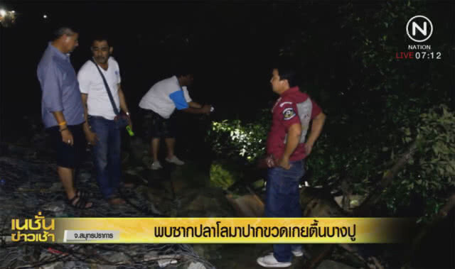 ซากปลาโลมาปากขวด เกยตื้นบางปู