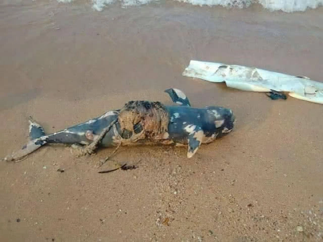 ชวนอาสาสมัครร่วมเก็บขยะทะเลคลองสน  5 เม.ย.นี้