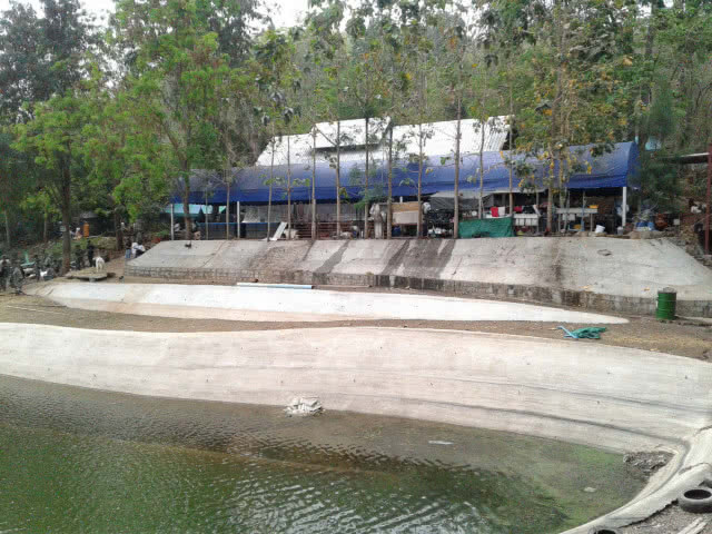 เตือนวัด-สำนักสงฆ์ ร่วมโครงการส่งเสริมให้ช่วยงานด้านป่าไม้