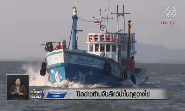 ปิดอ่าวห้ามจับสัตว์น้ำในฤดูวางไข่