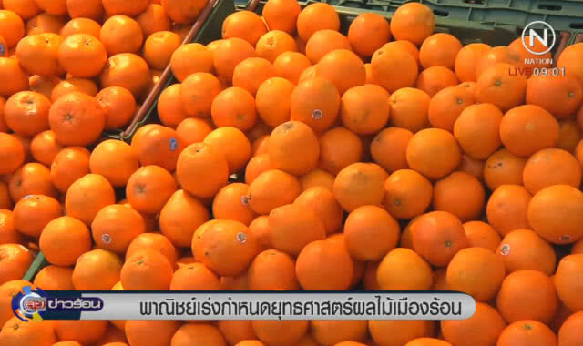 พาณิชย์เร่งกำหนดยุทธศาสตร์ผลไม้เมืองร้อน