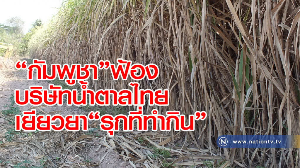 "กัมพูชา"ฟ้องบริษัทน้ำตาลไทยเยียวยา...รุกที่ทำกินชาวบ้าน "กัมพูชา"ฟ้องบริษัทน้ำตาลไทยเยียวยา...รุกที่ทำกินชาวบ้าน