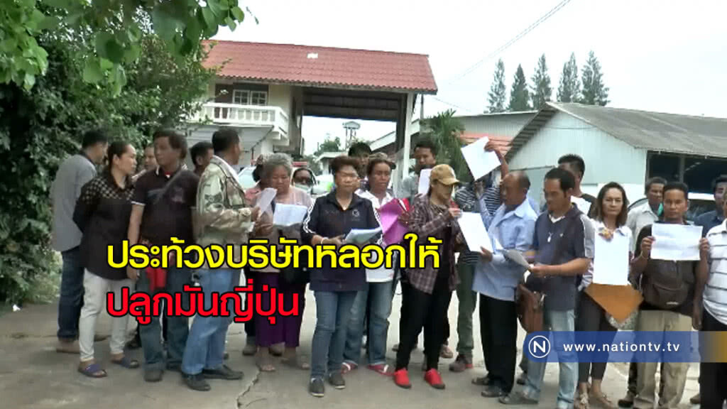 ประท้วงบริษัทหลอกให้ปลูกมันญี่ปุ่น ประท้วงบริษัทหลอกให้ปลูกมันญี่ปุ่น