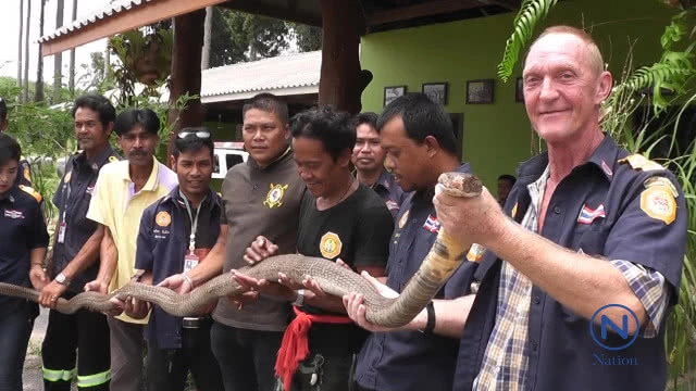 ผวา งูจงอางยักษ์ ไล่กัดชาวบ้าน เผย อากาศร้อน งูหลบเข้าในบ้านคนแทน