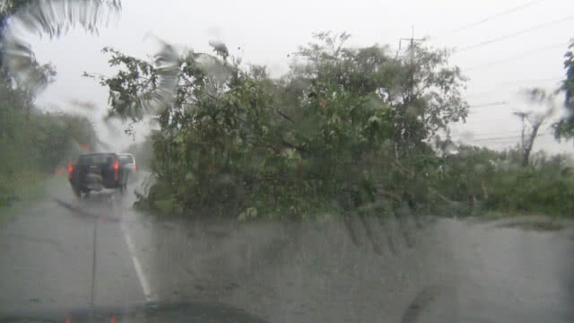 ฝนหนัก ตกถล่มนานทำไม้ล้มขวางถนน 304