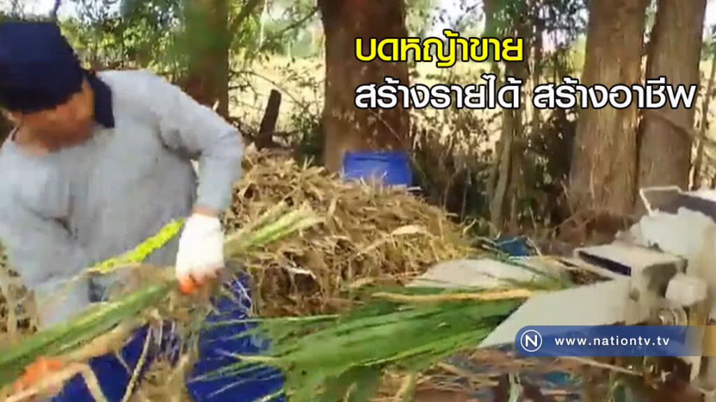 เกษตรกรบดหญ้าขาย สร้างรายได้ สร้างอาชีพ