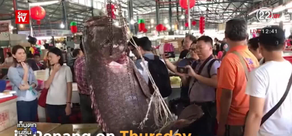 พบปลาเก๋ายักษ์ ขายในตลาดของรัฐปีนัง มาเลเซีย
