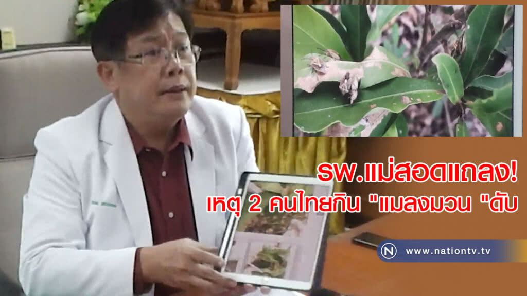 รพ.แม่สอดแถลง! เหตุ 2 คนไทยกิน"แมลงมวน"ดับ เตือนปชช.อย่ากินของแปลกที่ไม่เคยรู้จัก รพ.แม่สอดแถลง! เหตุ 2 คนไทยกิน"แมลงมวน"ดับ เตือนปชช.อย่ากินของแปลกที่ไม่เคยรู้จัก