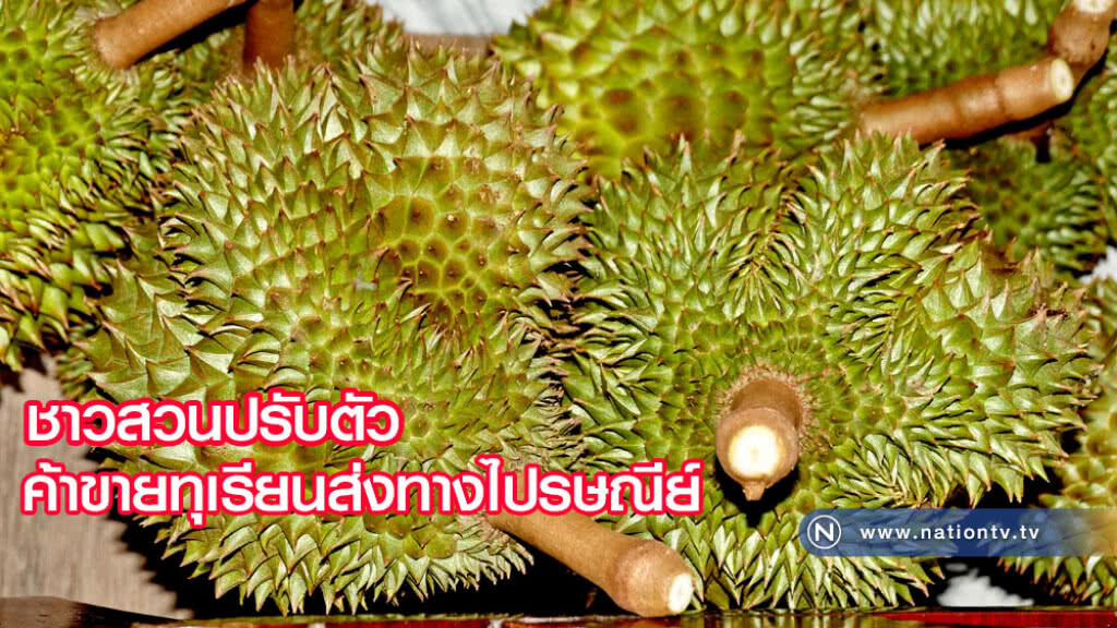 ชาวสวนปรับตัวค้าขายทุเรียนส่งทางไปรษณีย์  จากสวนผู้ผลิตถึงมือลูกค้าโดยตรง