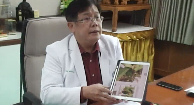 รพ.แม่สอดแถลง! เหตุ 2 คนไทยกิน"แมลงมวน"ดับ เตือนปชช.อย่ากินของแปลกที่ไม่เคยรู้จัก
