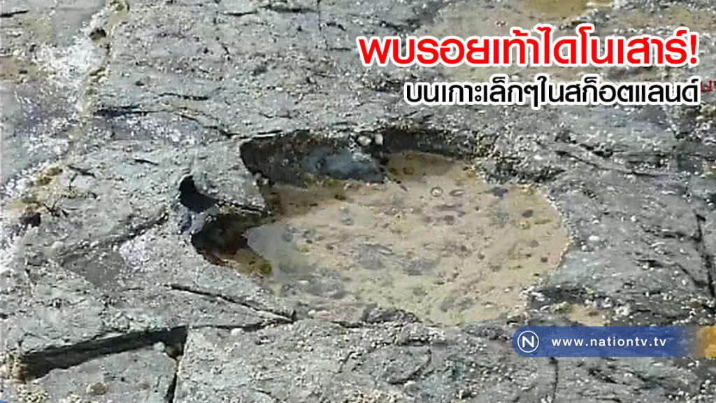 พบรอยเท้าไดโนเสาร์! บนเกาะเล็กๆในสก็อตแลนด์ (คลิป) พบรอยเท้าไดโนเสาร์! บนเกาะเล็กๆในสก็อตแลนด์ (คลิป)