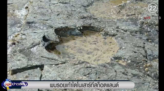 พบรอยเท้าไดโนเสาร์ที่ "สก็อตแลนด์"