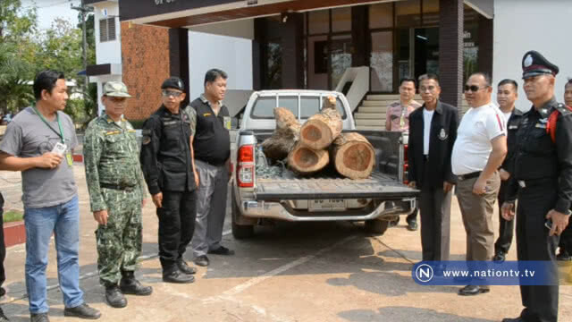 แก๊งค้าไม้พะยูงข้ามชาติบุกเข้าไปลักลอบตัดในโรงเรียน