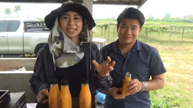 สวนเสาวรส - นางรำ พันธ์ไทยนุง ผลผลิตงามขายได้ราคาดี