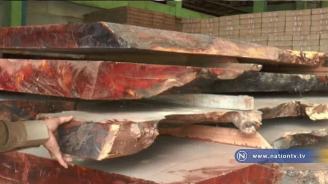 ถึงกับผงะ!! พบไม้หวงห้ามมูลค่านับร้อยล้านซุกโรงงานทำหินเจียร