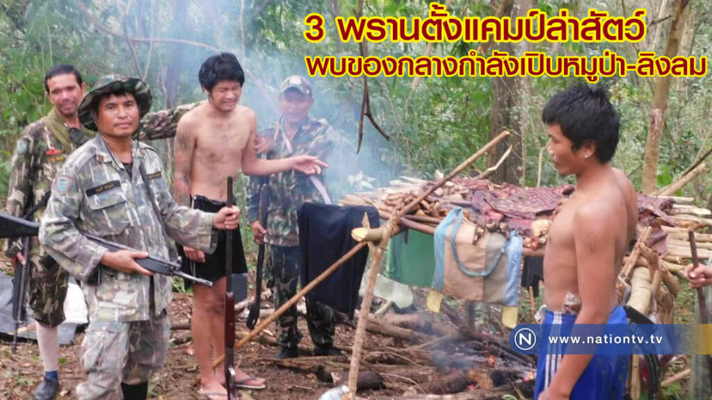 จับ 3 พรานตั้งแคมป์ล่าสัตว์เจอของกลางกำลังเปิบหมูป่า-ลิงลม