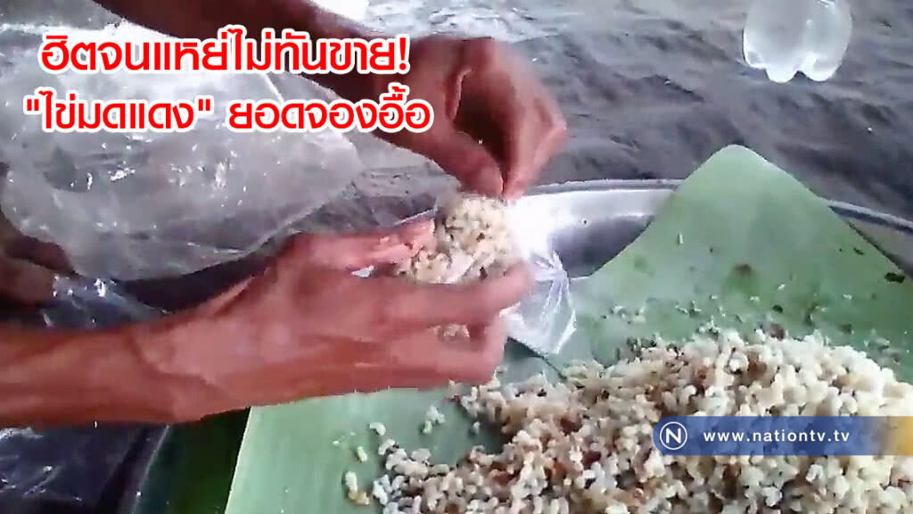 ฮิตจนแหย่ไม่ทันขาย! "ไข่มดแดง" ยอดจองอื้อ(คลิป) ฮิตจนแหย่ไม่ทันขาย! "ไข่มดแดง" ยอดจองอื้อ(คลิป)